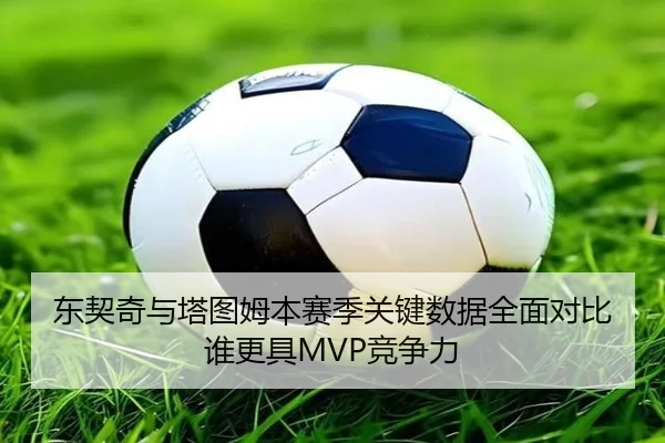 东契奇与塔图姆本赛季关键数据全面对比谁更具MVP竞争力